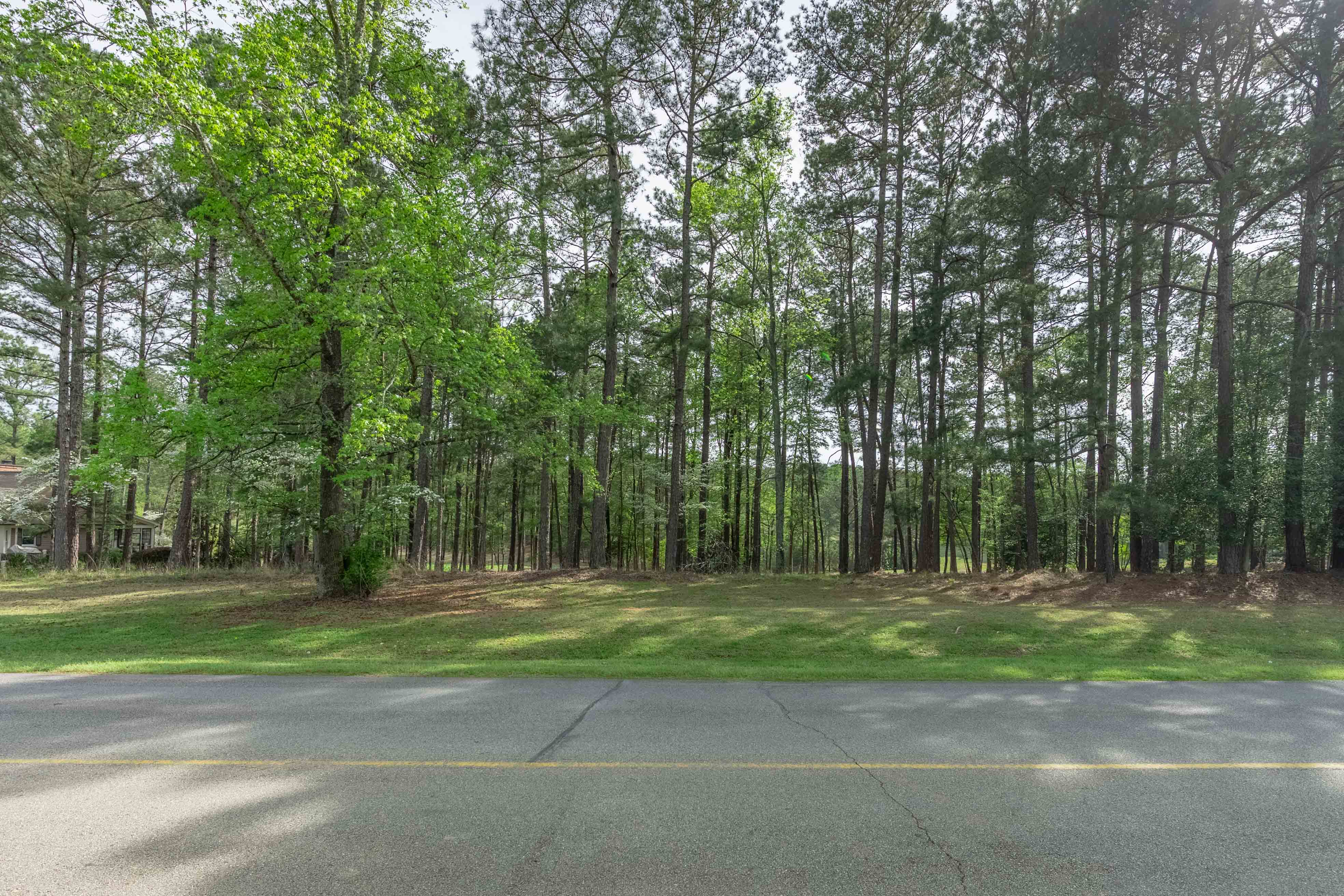 1241 Parrott Trace image 2
